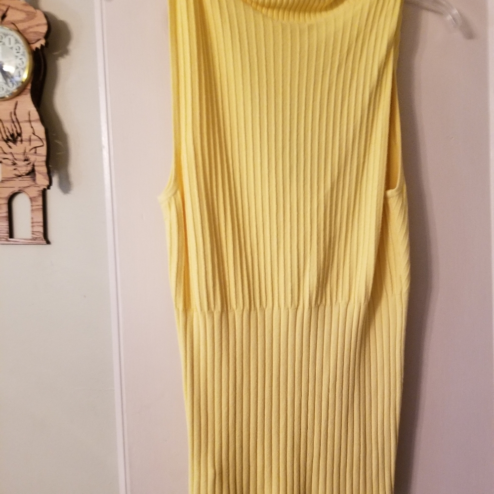 Lemon Rayon Nylon  sleeveless sweater